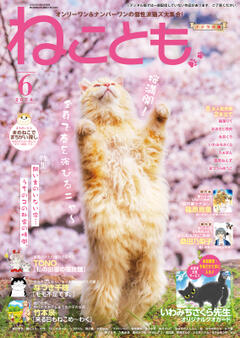 ねことも vol.91