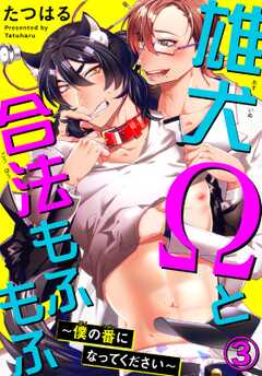雄犬Ωと合法もふもふ～僕の番になってください～ 3